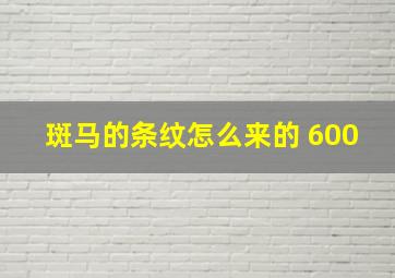 斑马的条纹怎么来的 600